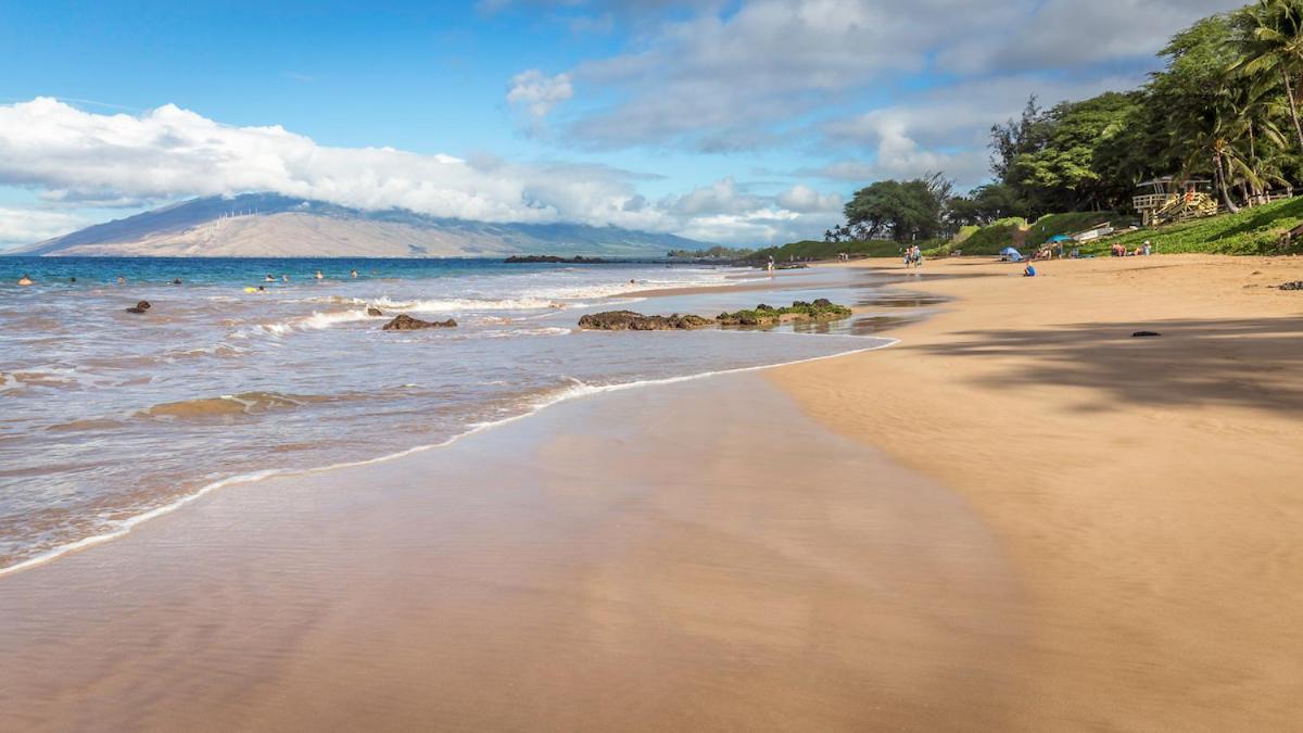 **Newly Remodeled** Steps To Kamaole 3 Beach! Wailea  Eksteriør billede
